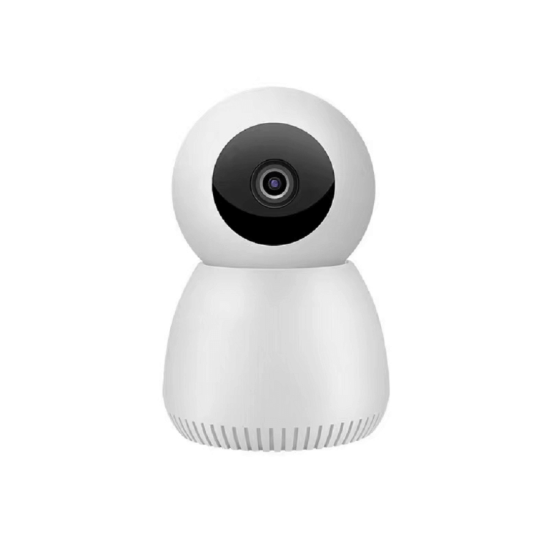 RW101P Snowman